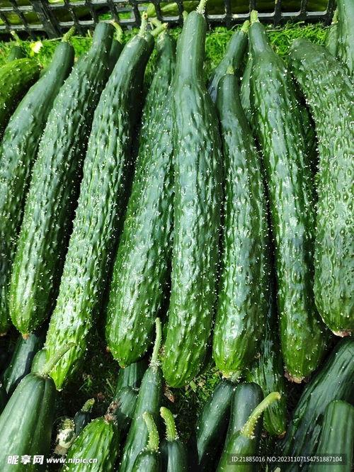 最新黄瓜爆料图片视频,高清图视频揭秘惊人真相！